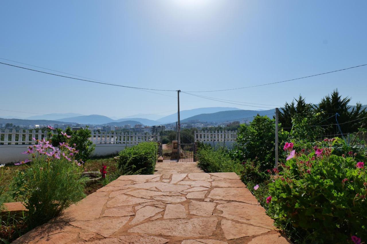 קסאמיל Vila Osmanaj מראה חיצוני תמונה